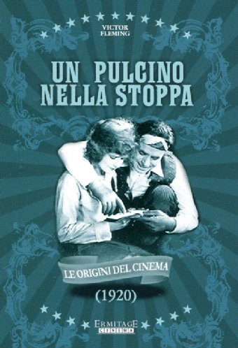 Un pulcino nella stoppa Un pulcino nella stoppa
