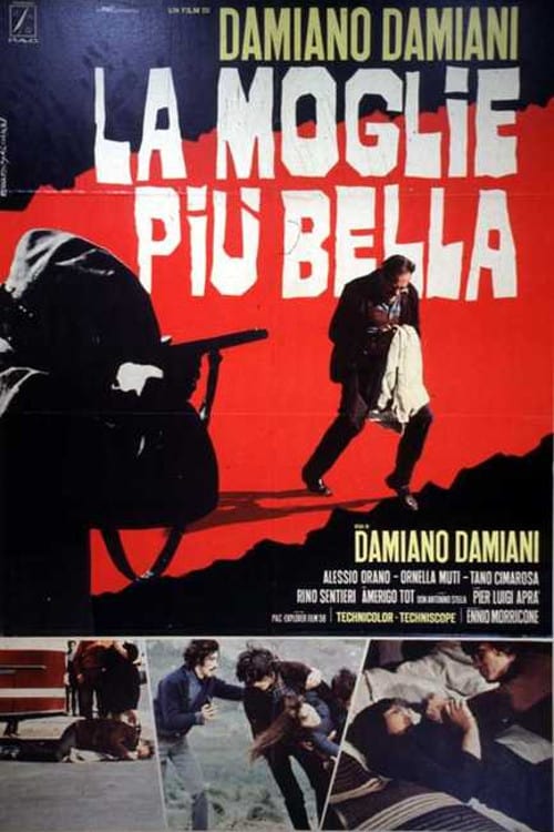 La moglie più bella La moglie più bella