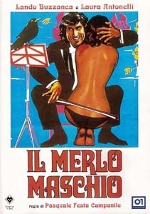 Il merlo maschio