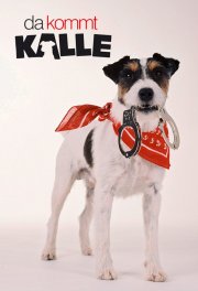 Il nostro amico Kalle