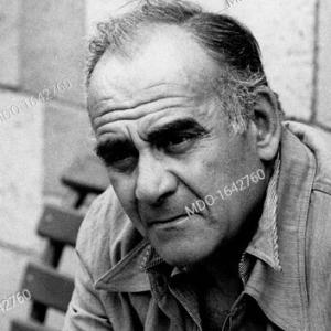 Vittorio Caprioli