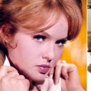 Joey Heatherton